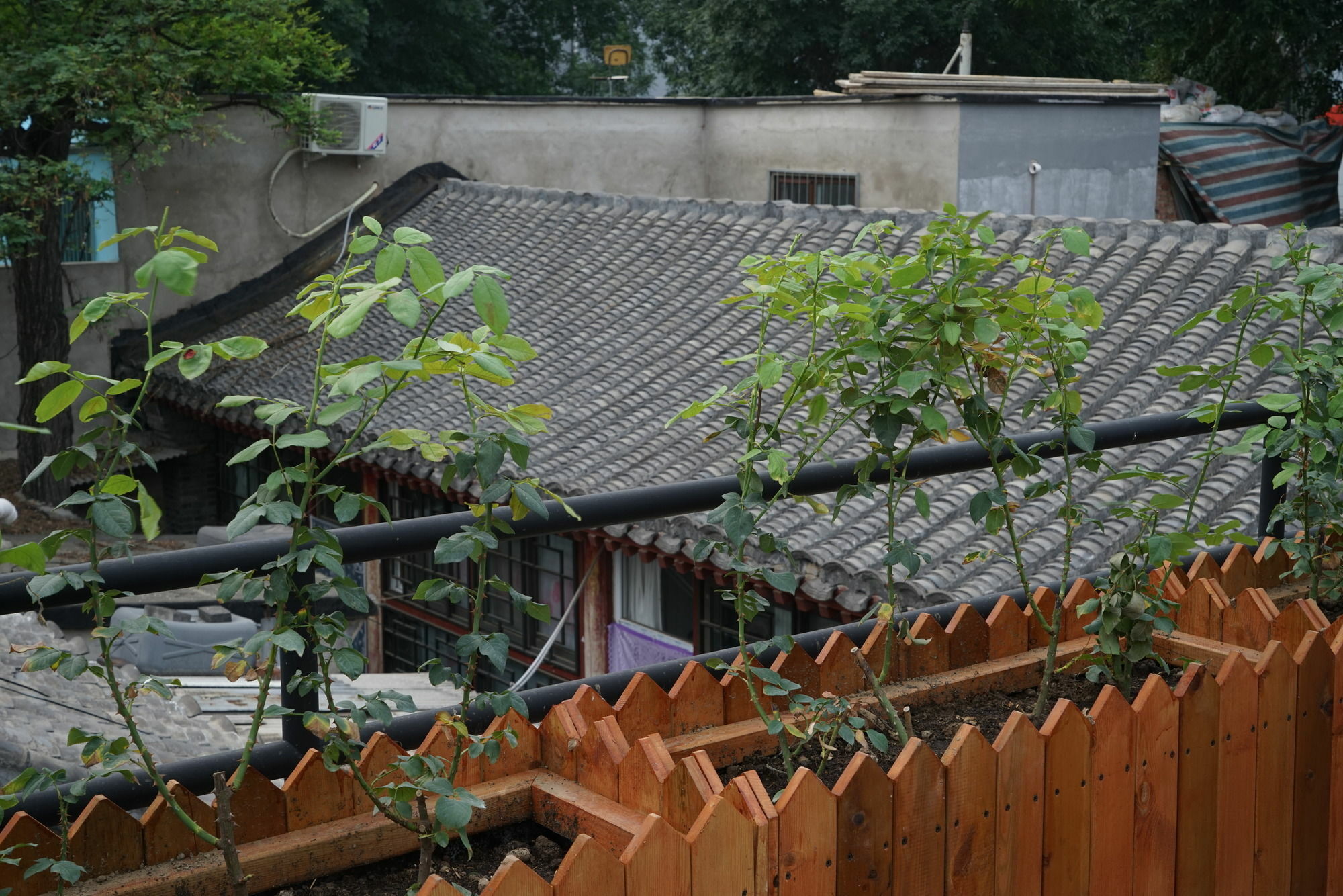 Garden Inn Peking Kültér fotó